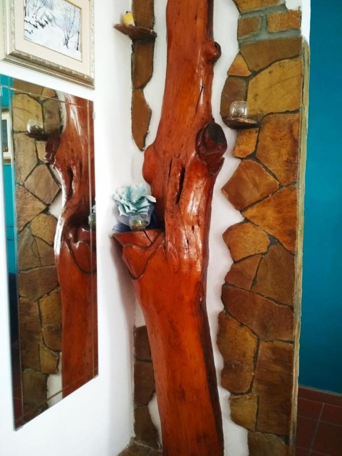 B&B Le Muse Φεράρα Εξωτερικό φωτογραφία